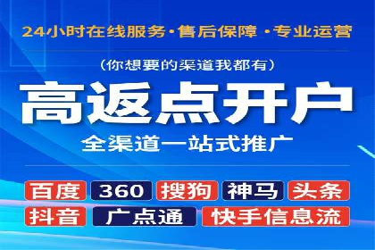 某电商平台的SEM推广策略全解析